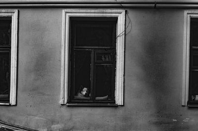 Cat looking through window of old building