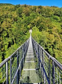 Footbridge amidst trees in forest against sky