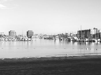 Boats moored at harbor against clear sky