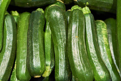 Full frame shot of zucchini for sale at market