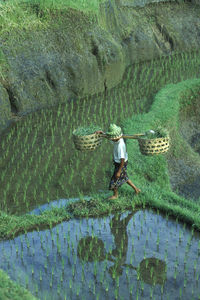Rear view of man walking on mountain
