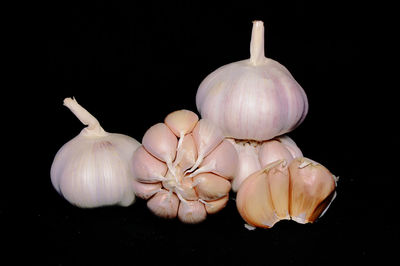 Close-up of pumpkins against black background
