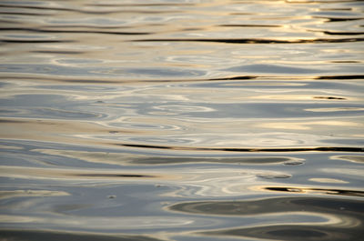 Full frame shot of rippled water