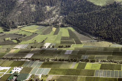 Vineyards valley in northern italy