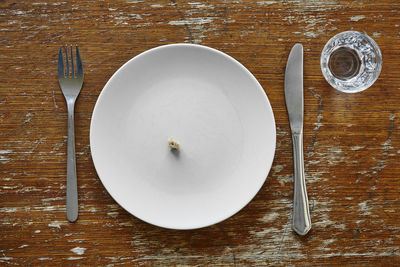 High angle view of food on table