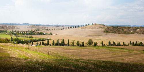 Scenic view of farm against sky