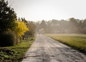 Road passing through field