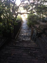 Walkway leading to footpath