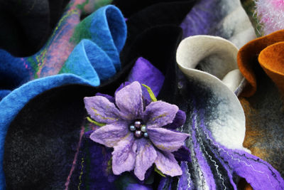 Close-up of purple flowers