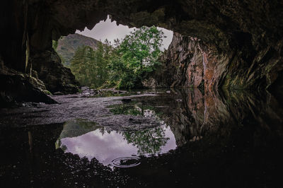 Reflection of trees in water inside cave