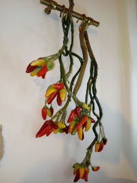 Close-up of decoration hanging against sky