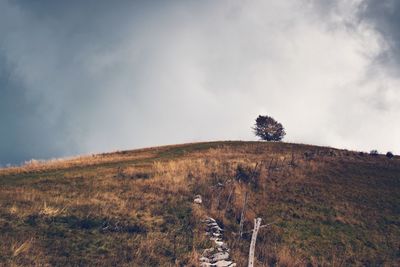 Trees on field against sky