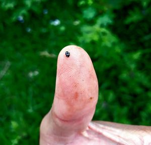 Close-up of human hand