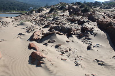 High angle view of rocks on beach