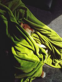 High angle view of bed