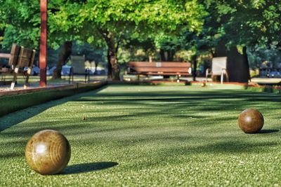 Bocce balls on grass in park