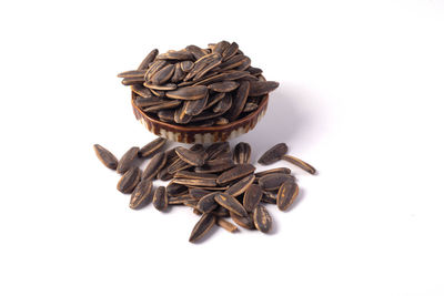 Close-up of pine cone against white background