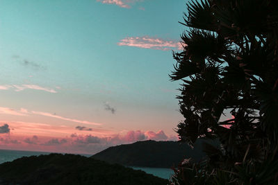 Silhouette trees by mountains against sky during sunset