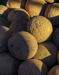 Melons in sunlight