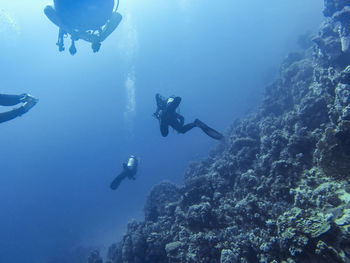 Low angle view of scuba divers swimming in sea