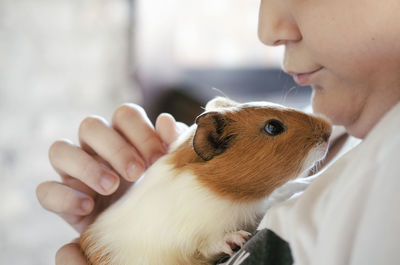 Midsection of woman with dog