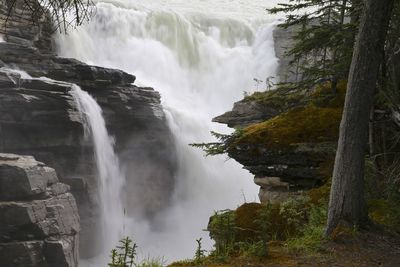 View of waterfall in forest