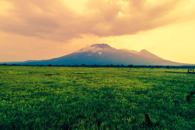 Scenic view of landscape against sky during sunset