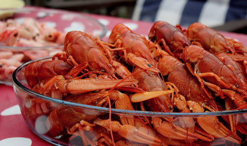 Close-up of fresh lobsters in bowl