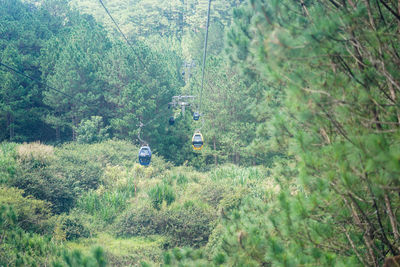 High angle view of plants growing on land