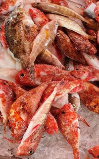 Full frame shot of seafood