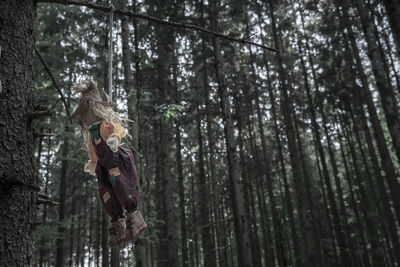 Low angle view of stuffed toy tied with rope hanging on tree branch in forest