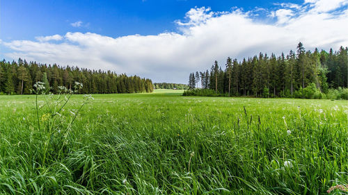 Scenic view of land against sky