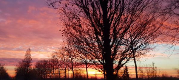 Silhouette bare trees against sky during sunset