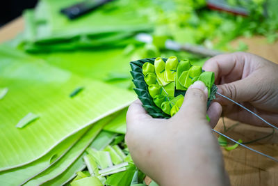 Close-up of hand holding leaves