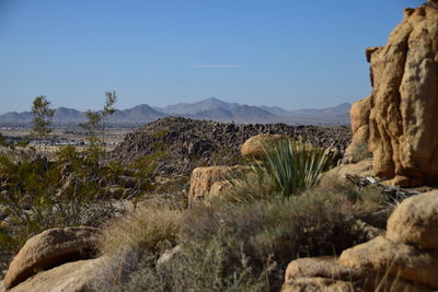 Scenic view of desert against clear sky