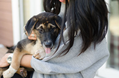 Close-up of dog