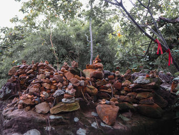 Stack of rocks by trees in forest