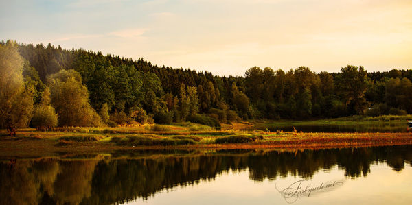 Reflection of trees in lake against sky at sunset