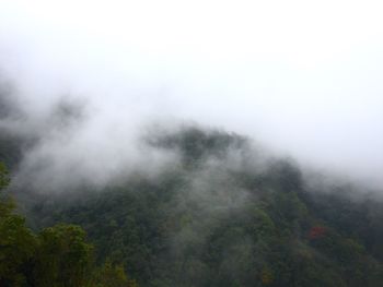 Scenic view of landscape in foggy weather against sky