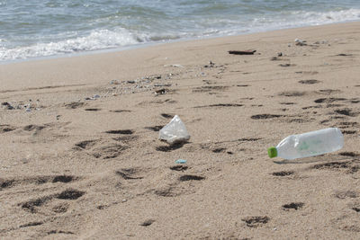 View of seagulls on beach