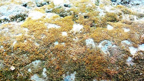 Full frame shot of abstract background