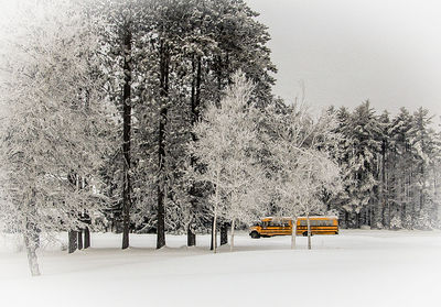 Scenic view of snow covered landscape