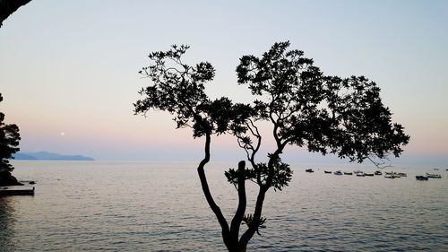 Scenic view of sea against sky at sunset