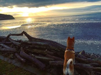 Scenic view of sea at sunset