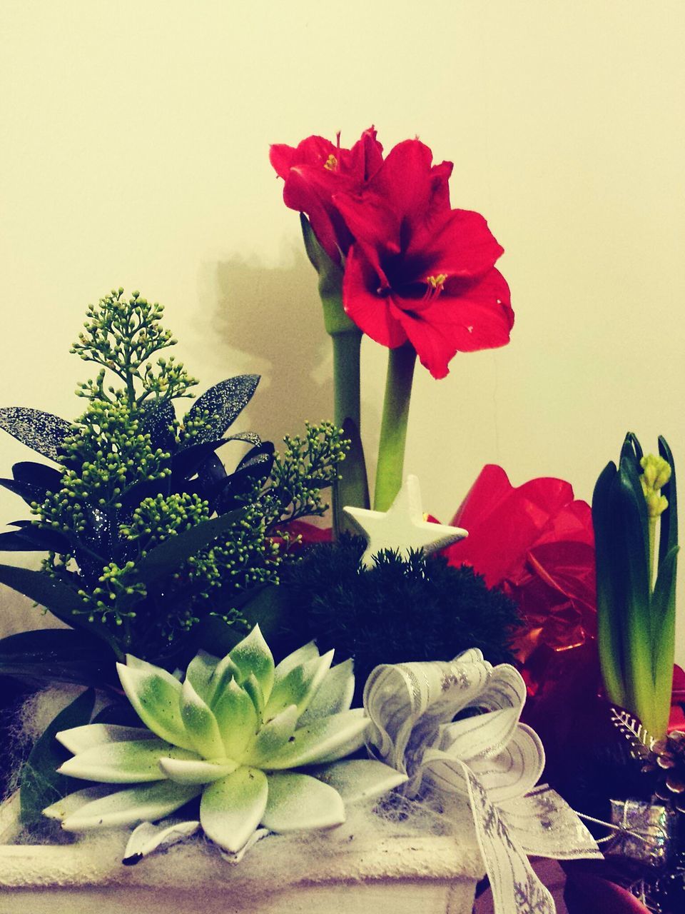 flower, flower head, petal, freshness, indoors, fragility, still life, close-up, bouquet, rose - flower, beauty in nature, flower arrangement, red, decoration, botany, nature, studio shot, arrangement, plant life, no people, in bloom, tranquility