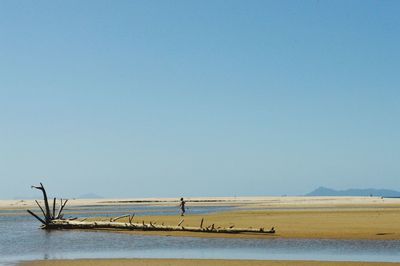 Scenic view of sea against clear blue sky