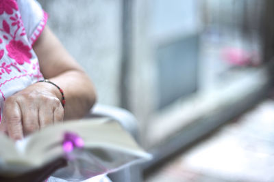 Close-up of woman hand holding pink flowers