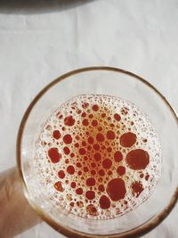 Directly above shot of beer in glass