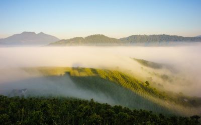 Scenic view of landscape against sky