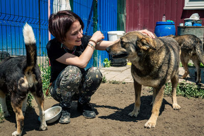 Dog at the shelter. animal shelter volunteer takes care of dogs. lonely dogs in cage with volunteer.